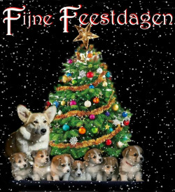 Afbeelding invoegen